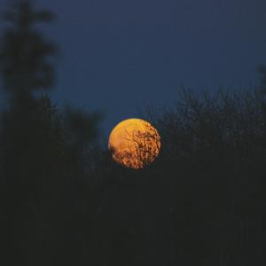 宋智孝激情自慰
