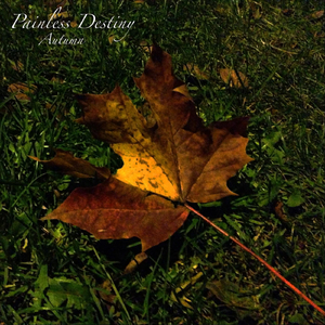 宋智孝激情自慰
